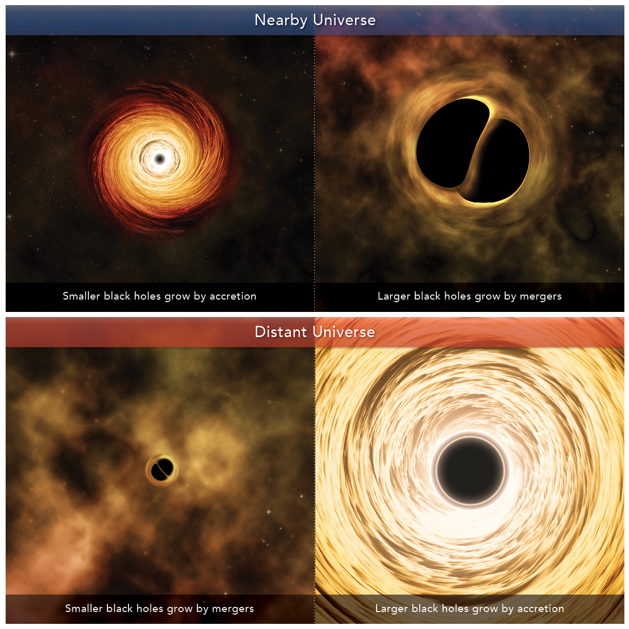 How Black Holes Grow Across Cosmic Time - Fabio Pacucci